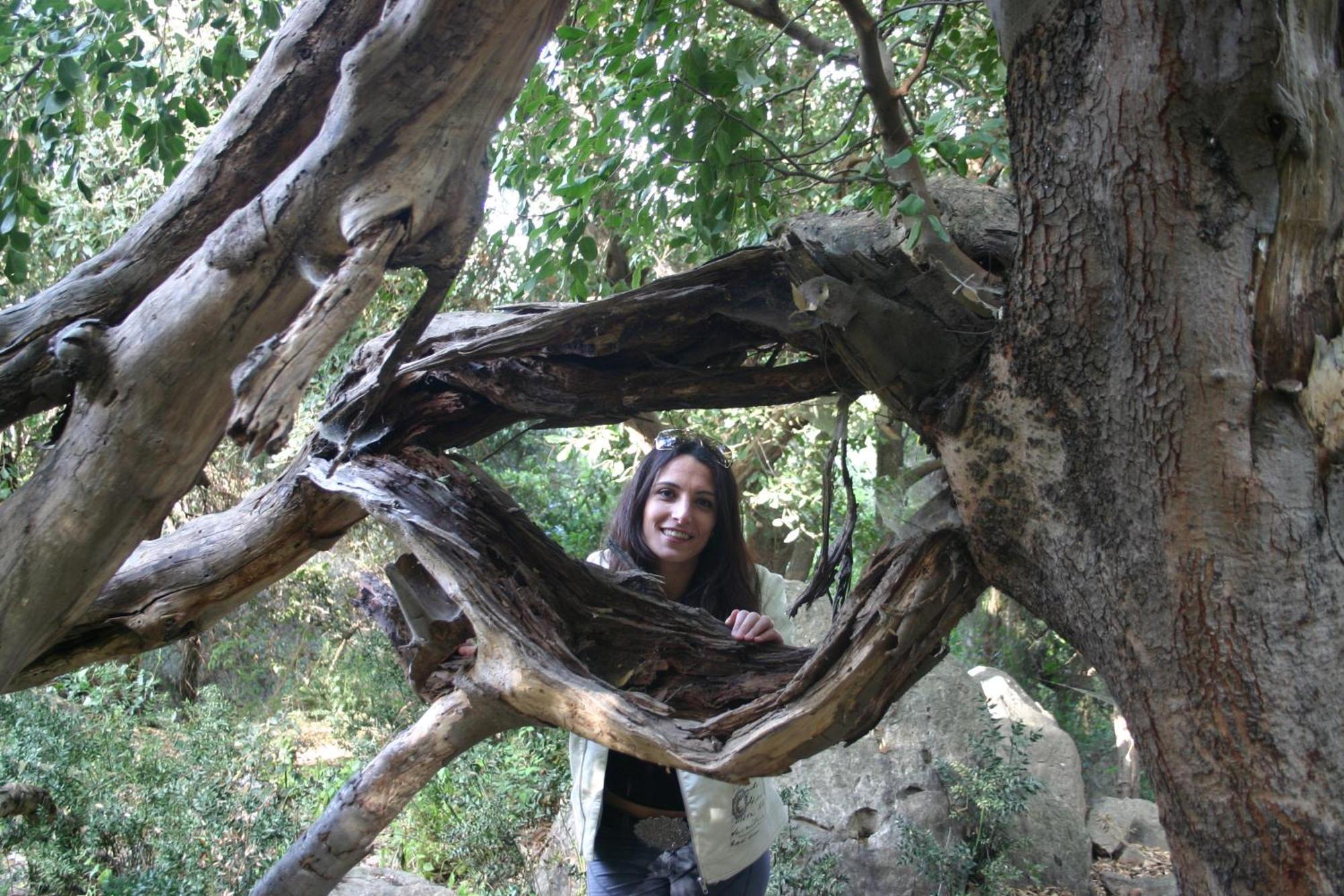 Casa Della Nonna Villa Caltavuturo Bagian luar foto